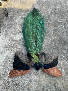 期間限定　④　Peacock full complete skin ピーコックコンプリートスキン　マテリアル　装飾　アクセサリー　