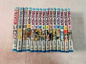 ワンピース ONE PIECE 尾田栄一郎 漫画