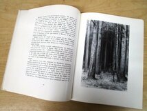 ◇F2096 書籍「【洋書】イヴァン・シーシキン画集 RUSSIAN PAINTERS SERIES SHISHKIN」1971年 AURORA ART PUBLISHERS 絵画/芸術/ロシア_画像7