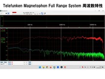 Telefunken ビンテージ録音モニターペア 高能率・高音質!_画像10