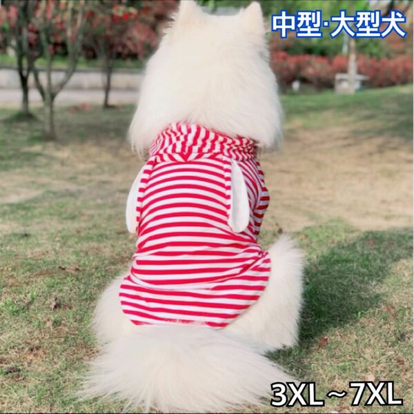 犬服 ペット服 大型犬 春夏秋 ボーダー耳付きフードＴシャツ:3XL~7XL