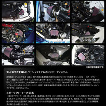 GruppeM パワークリーナー レクサス IS300 ASE30 8AR-FTS ターボ車 2017/10- 送料無料_画像3