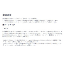 RS-R ダウンサス エクシーガ YA9 4WD車 代引送料無料(沖縄・離島除く)_画像2