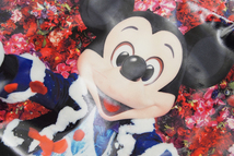 東京ディズニーリゾート フォトグラフィープロジェクト HAPPIEST MAGIC 蜷川実花 写真集、バッグセット_画像6