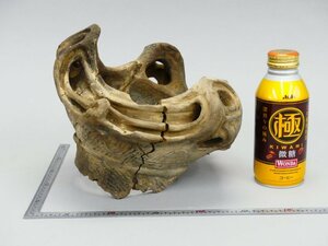 y34 土器 縄文土器 深鉢 火焔土器 把手 陶片 破片 鉢 高さ20cm