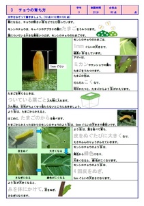 .. road place. [ elementary school 3 year simple science master ] small 3 oriented science teaching material * understanding - memorizing - test. sequence . efficiency well study is possible to do *WORD version .PDF version . compilation *