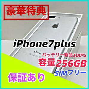 iPhone7プラス本体