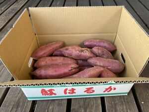 茨城県産 紅はるか 1箱5キロ 農家直送！とても甘くておススメですよ。