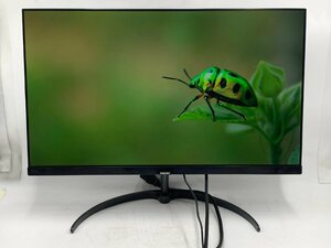 フィリップス(PHILIPS) 241E9/11 23.8インチ 23.8型(インチ) ワイド フルHD（1920x1080） IPSパネル ノングレア(非光沢) D-Subx1/HDMIx2