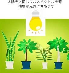 Samsung 超軽量 植物育成LED電球　9W　90W相当 E26　太陽に一番近いフルスペクトル！植物の生育に安心・安全・最適で元気に育ちます