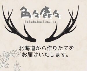 【無添加】国産 エゾ鹿ジャーキー100g犬 おやつ 犬用 エゾジカ 鹿肉 ジャーキー　