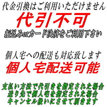 藤壺 ワゴリスマフラー CBA-NT30エクストレイル 除く純正オプションリアサイドプロテクター装着車 H17/12～H19/8_画像7