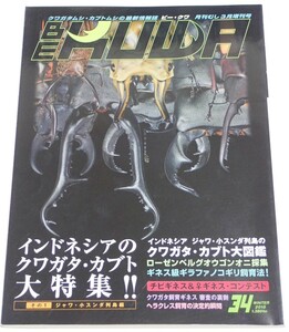 ビークワ No.34■インドネシアのクワガタ・カブト大特集｜ジャワ・小スンダ列島のカブクワ大図鑑／ギネスギラファ飼育／ローゼンベルグ採集