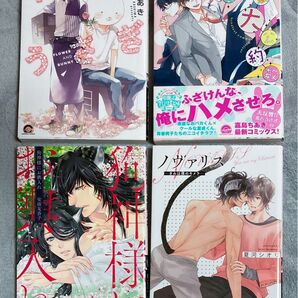 BL漫画 コミック 4冊セット