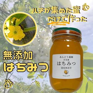 【添加物なし】はちみつ 600g×2瓶 蜂蜜 ハチミツ セイヨウミツバチ 国産