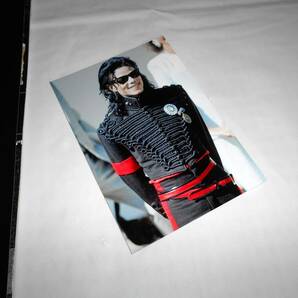 マイケル・ジャクソン展 The Collection Of Tompkins & Bush パンフレット 図録 ★衣装 コスチューム ブッシュ ツアー ジャケットの画像3