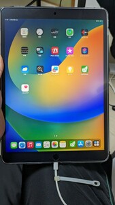 Apple iPad Pro第一世代 10.5インチ（MPHG2J/A） スペースグレイ Cellular（SIMフリー）+Wi-Fiモデル　初期化済　【極美品！】