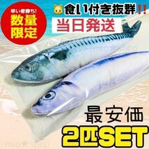 【即購入OK】2個セット けりぐるみ 大人気 数量限定 サバ サンマ 猫　おもちゃ　魚　蹴りぐるみ_画像1