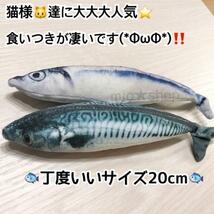 【即購入OK】2個セット けりぐるみ 大人気 数量限定 サバ サンマ 猫　おもちゃ　魚　蹴りぐるみ_画像4