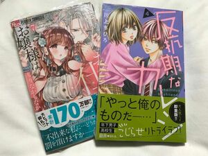 お嬢様はお仕置きが好き　反抗期なカレシ