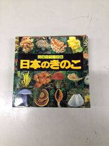 山と渓谷社 山渓カラー名鑑 日本のきのこ 