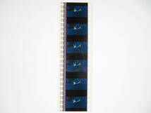 35mmフィルム6コマ326 千と千尋の神隠し スタジオジブリ 宮崎駿 Spirited Away　Hayao Miyazaki_画像4