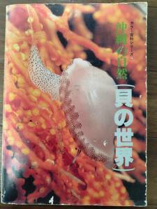 カラー百科シリーズ⑩　沖縄の自然　貝の世界　人の命も買える世界最高のお金　絶版品　海の生き物たち