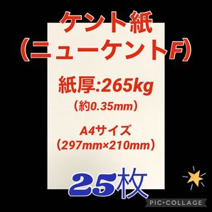 ケント紙（ニューケントF）【A4サイズ】265kg・25枚