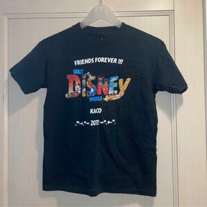 Hanes Disney コラボ　Tシャツ　2011