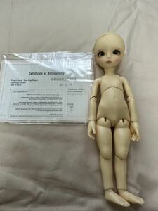 iMda doll 2.2 Modigli 保証書付き2