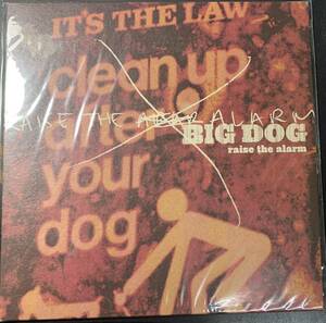 アナログ ● 10INCH～Big Dog Raise The Alarm レーベル:Jive 9251880