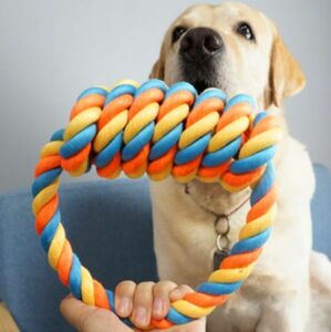 【送料無料】犬おもちゃ 中型犬 大型犬用 犬ロープおもちゃ(オレンジ＆イエロー輪っかロープ)