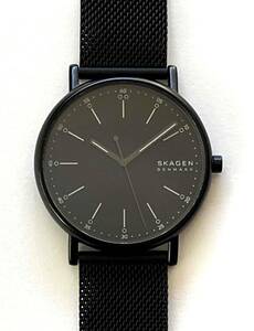 SKAGEN スカーゲン 腕時計 シグネチャー ミッドナイト スチールメッシュウォッチ SKW6579 メンズ ブラック