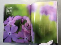 デジタルカメラマガジン 2021年5月号　総力特集: 美しい色彩風景春夏編　インプレス_画像9