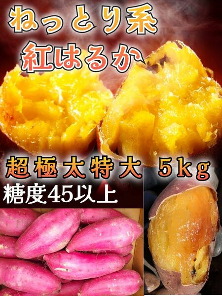 【熟成紅はるか】2L~3L 5kg 一箱 焼きさつまいもに 天然貯蔵で糖度を上げました