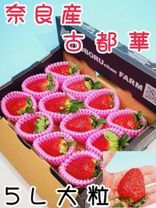 奈良産☆大きさ大満足!!4L~5L特大玉 プレミア苺【古都華 ことか】甘さ旨さ大きさ◎特大玉 誕生日祝 いちご バレンタインデー 