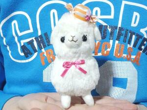  alpaca * pretty alpaca so mascot soft toy / candy / white / pretty!!!