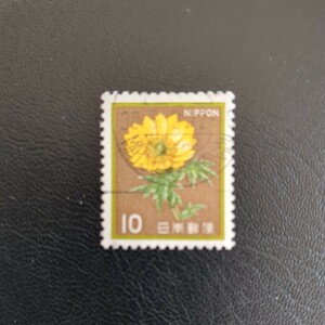 花　貝　文化財　１９８０ 福寿草　使用済