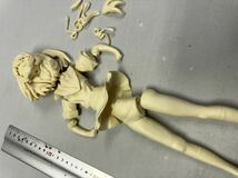 GM2B 69 ガレージキット　キャラ不明？　分かる方宜しく　セーラー服　団長　　美少女フィギュア　レジンキャスト　エロフィギュア_画像3