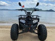 日本未発売 ACE POWER ATV 50cc 4輪 バギー AT 新車 ミニカー登録OK_画像2