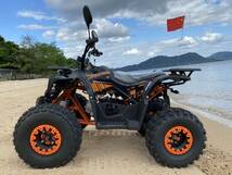 日本未発売 ACE POWER ATV 50cc 4輪 バギー AT 新車 ミニカー登録OK_画像5