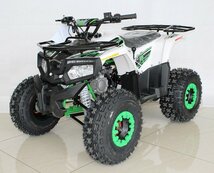 日本未発売 ACE POWER ATV 50cc 4輪 バギー AT 新車 ミニカー登録OK_画像8