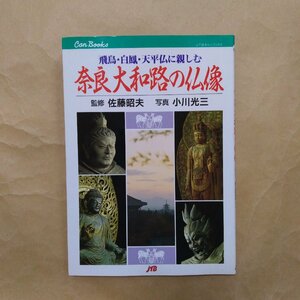 ◎奈良大和路の仏像　飛鳥・白鳳・天平仏に親しむ　佐藤昭夫監修　小川光三写真　JTBキャンブックス　1999年　159p　