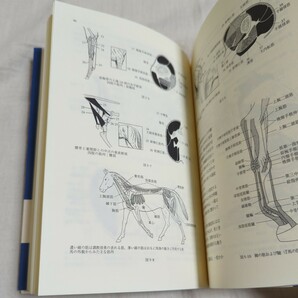 馬術への誘い 京大馬術部事始 もっと馬術を理解するために 京都大学体育会馬術部／編 山田武／監修 高桑浩彰／監修の画像6