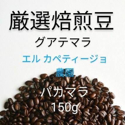 焙煎珈琲豆　グアテマラ　パカマラ　エル カペティージョ農園　150g