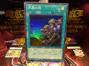 遊戯王☆QCCU☆QUARTERCENTURYCHRONICLE　side：UNITY☆同胞の絆☆スーパーレア