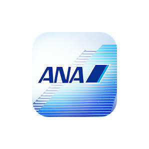 ANA 100000マイル 2日程度で加算 クレカOK マイレージ マイル数指定可 全日空 10万の画像1