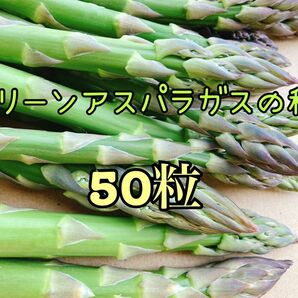 アスパラの種 50粒