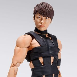 バンダイ(BANDAI) S.H.Figuarts T.M.Revolution 西川貴教