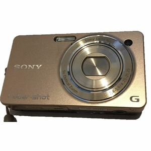 ソニー SONY デジタルカメラ Cybershot WX1 (1020万画素/光学x5/デジタルx10/シルバー) DSC-WX1/S